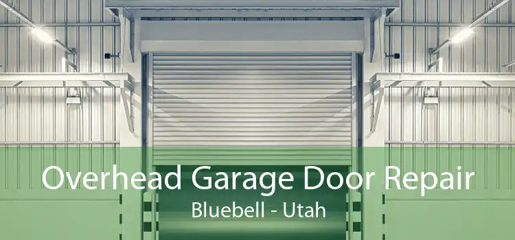 Overhead Garage Door Repair Bluebell - Utah