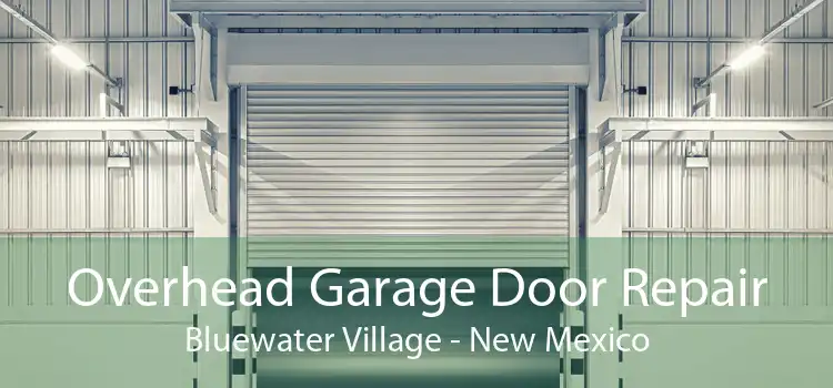 Overhead Garage Door Repair Bluewater Village - New Mexico
