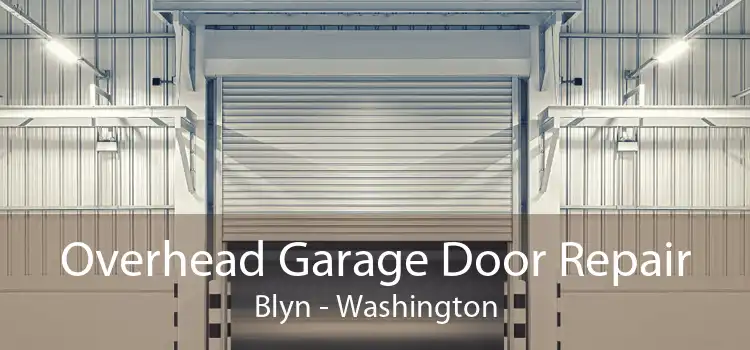 Overhead Garage Door Repair Blyn - Washington