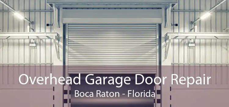 Overhead Garage Door Repair Boca Raton - Florida