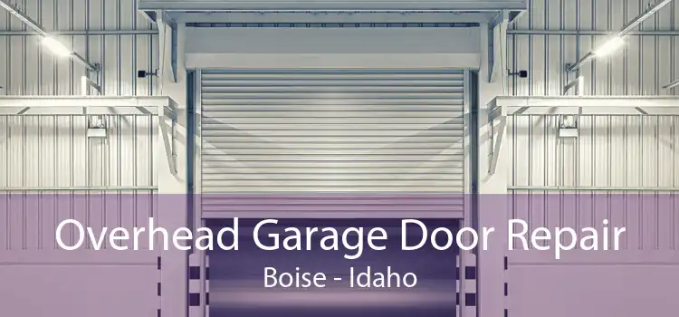 Overhead Garage Door Repair Boise - Idaho