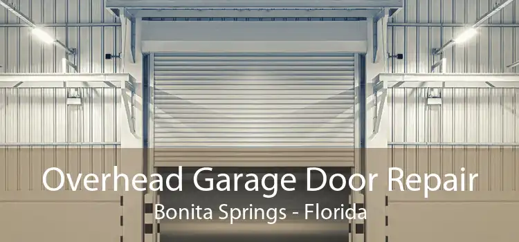 Overhead Garage Door Repair Bonita Springs - Florida