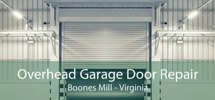 Overhead Garage Door Repair Boones Mill - Virginia
