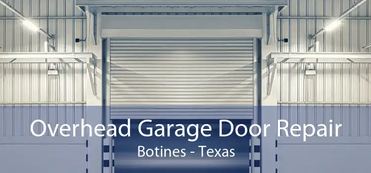 Overhead Garage Door Repair Botines - Texas