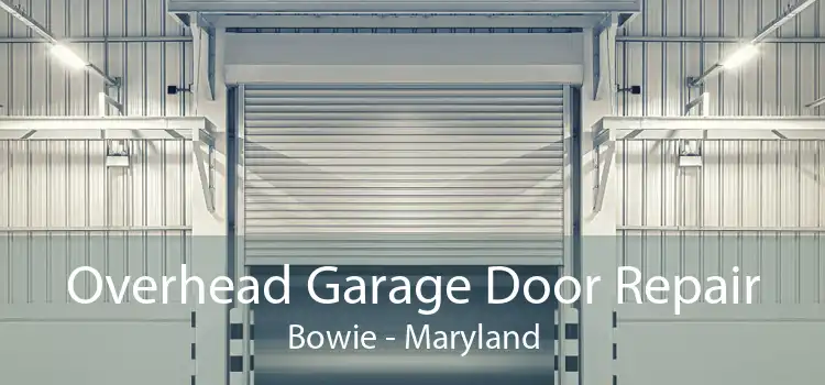 Overhead Garage Door Repair Bowie - Maryland
