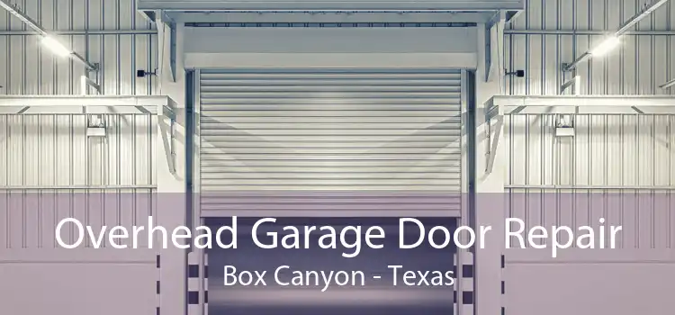 Overhead Garage Door Repair Box Canyon - Texas