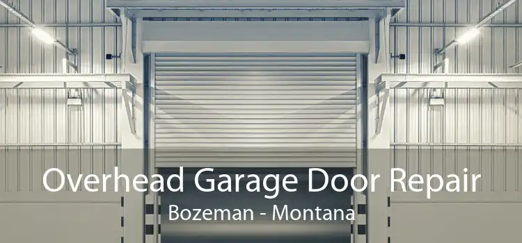 Overhead Garage Door Repair Bozeman - Montana
