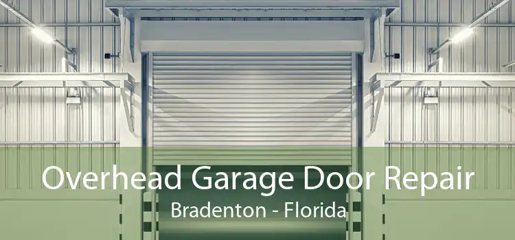 Overhead Garage Door Repair Bradenton - Florida