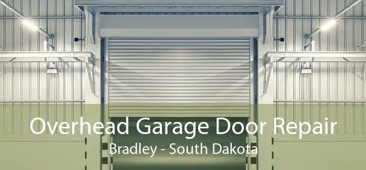 Overhead Garage Door Repair Bradley - South Dakota