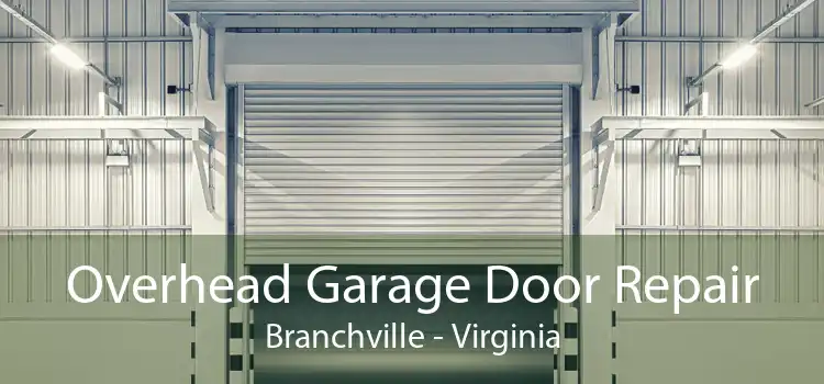 Overhead Garage Door Repair Branchville - Virginia