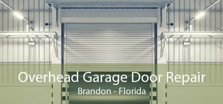 Overhead Garage Door Repair Brandon - Florida