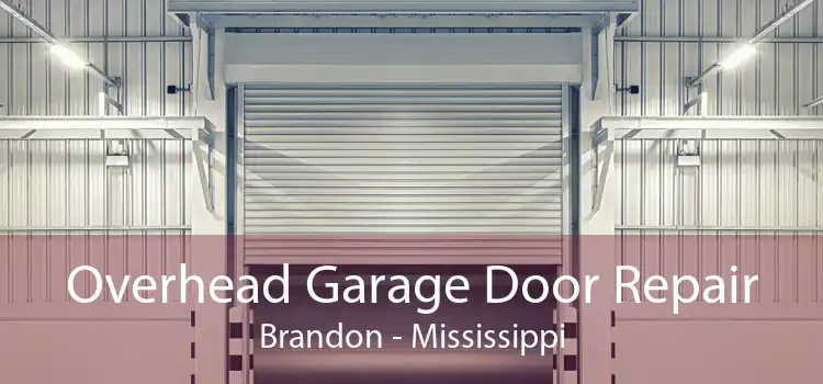Overhead Garage Door Repair Brandon - Mississippi