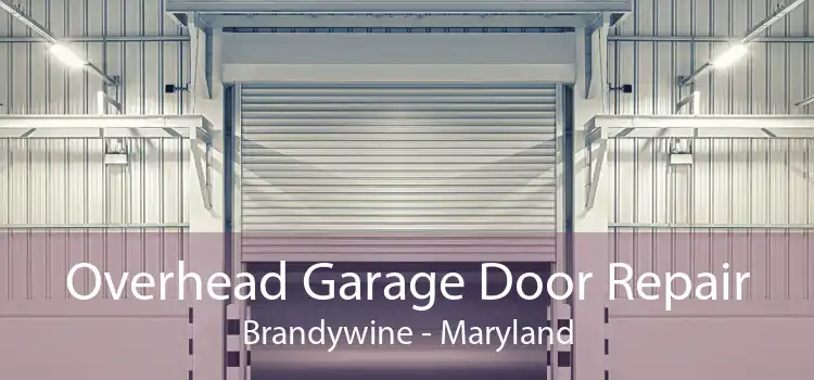 Overhead Garage Door Repair Brandywine - Maryland