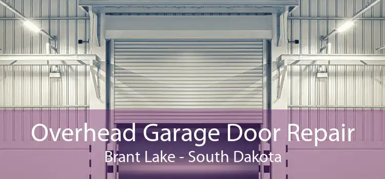 Overhead Garage Door Repair Brant Lake - South Dakota
