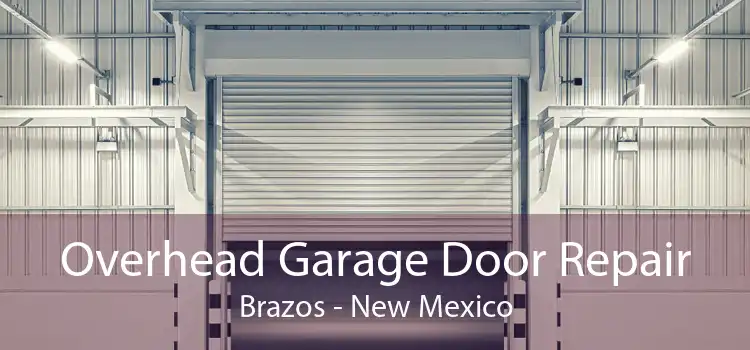 Overhead Garage Door Repair Brazos - New Mexico