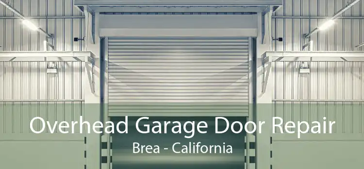 Overhead Garage Door Repair Brea - California