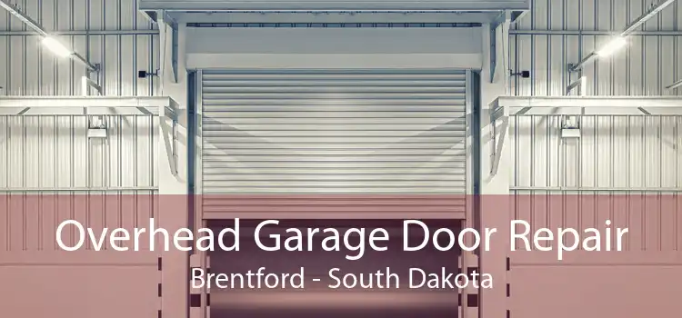 Overhead Garage Door Repair Brentford - South Dakota