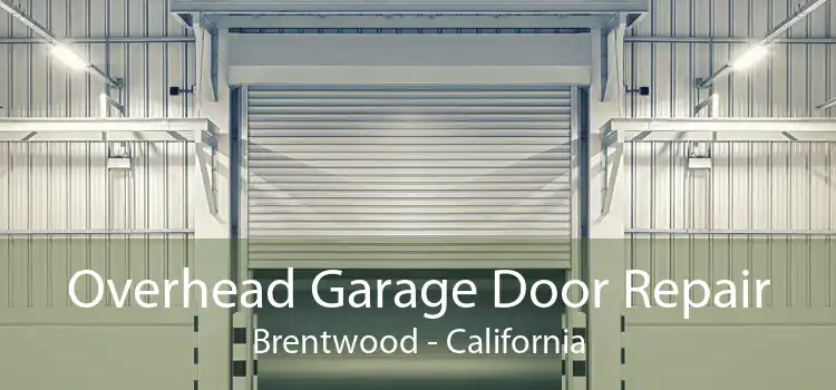 Overhead Garage Door Repair Brentwood - California