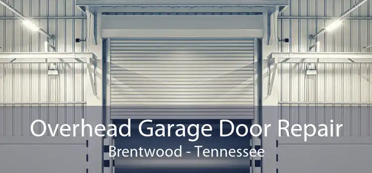 Overhead Garage Door Repair Brentwood - Tennessee