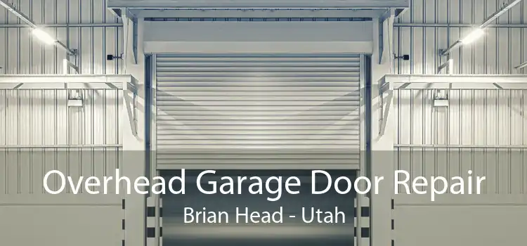 Overhead Garage Door Repair Brian Head - Utah