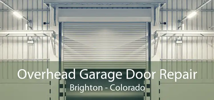 Overhead Garage Door Repair Brighton - Colorado