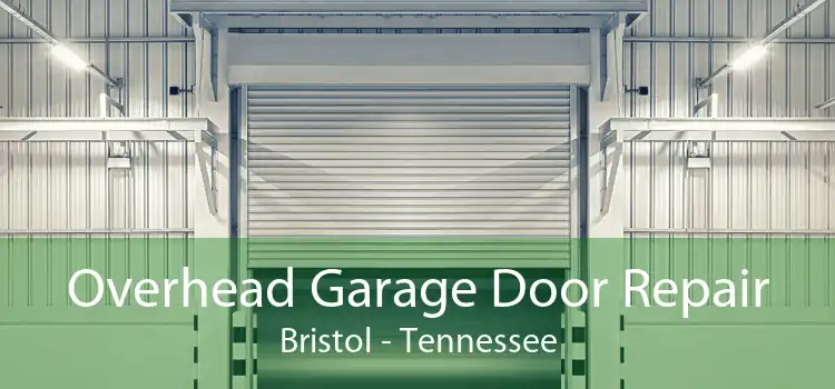 Overhead Garage Door Repair Bristol - Tennessee