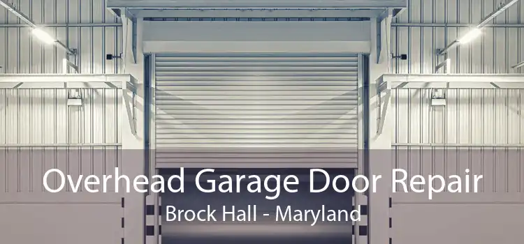 Overhead Garage Door Repair Brock Hall - Maryland