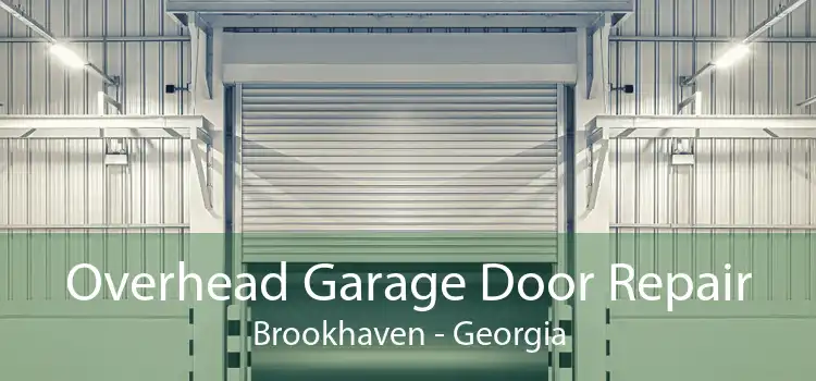 Overhead Garage Door Repair Brookhaven - Georgia