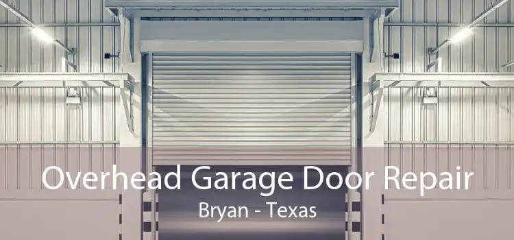 Overhead Garage Door Repair Bryan - Texas