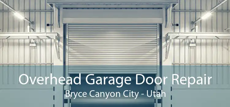 Overhead Garage Door Repair Bryce Canyon City - Utah