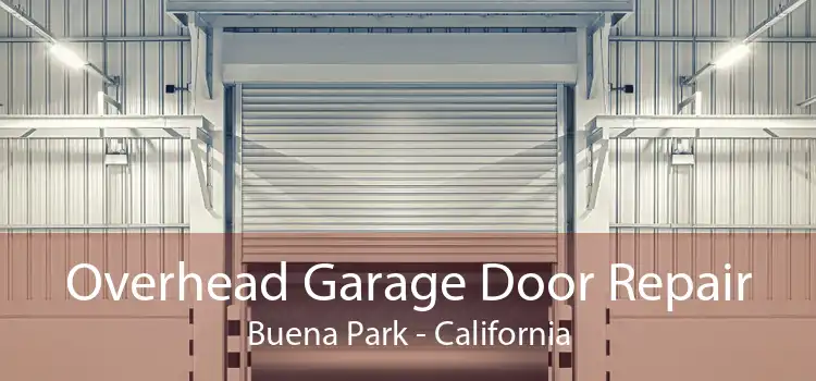 Overhead Garage Door Repair Buena Park - California