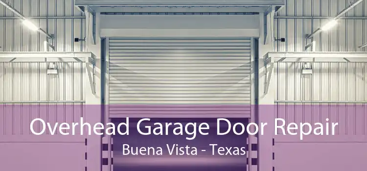 Overhead Garage Door Repair Buena Vista - Texas