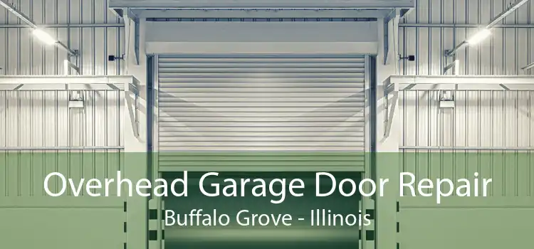Overhead Garage Door Repair Buffalo Grove - Illinois