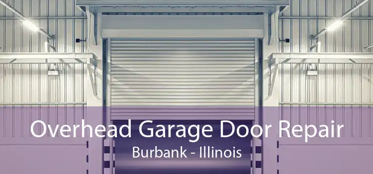 Overhead Garage Door Repair Burbank - Illinois