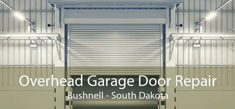Overhead Garage Door Repair Bushnell - South Dakota