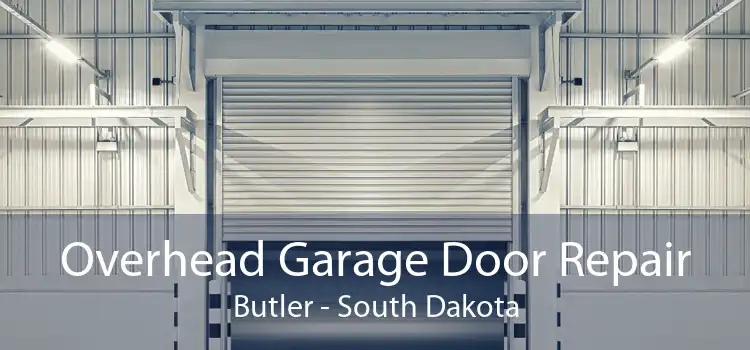 Overhead Garage Door Repair Butler - South Dakota