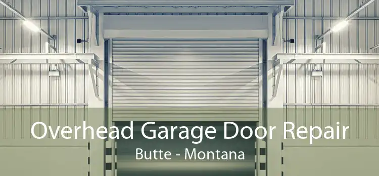 Overhead Garage Door Repair Butte - Montana
