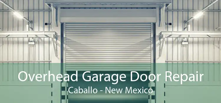 Overhead Garage Door Repair Caballo - New Mexico