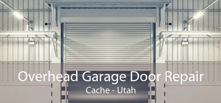 Overhead Garage Door Repair Cache - Utah