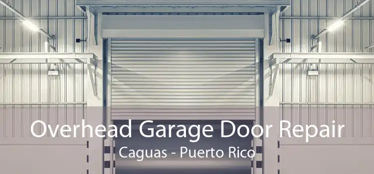 Overhead Garage Door Repair Caguas - Puerto Rico