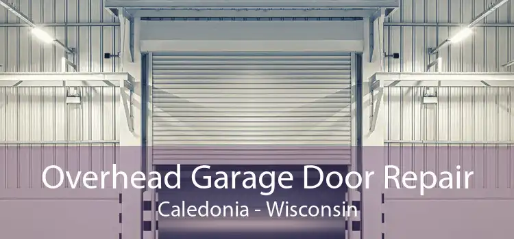 Overhead Garage Door Repair Caledonia - Wisconsin