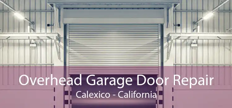 Overhead Garage Door Repair Calexico - California