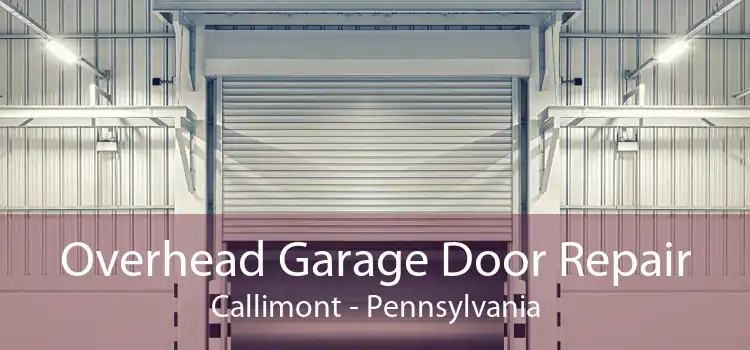 Overhead Garage Door Repair Callimont - Pennsylvania