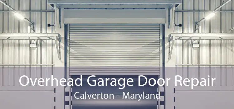 Overhead Garage Door Repair Calverton - Maryland