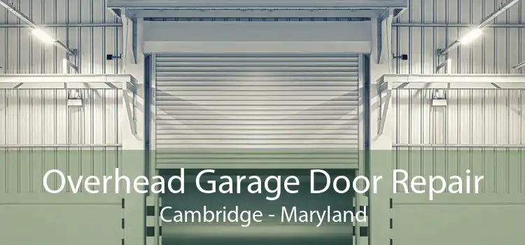 Overhead Garage Door Repair Cambridge - Maryland