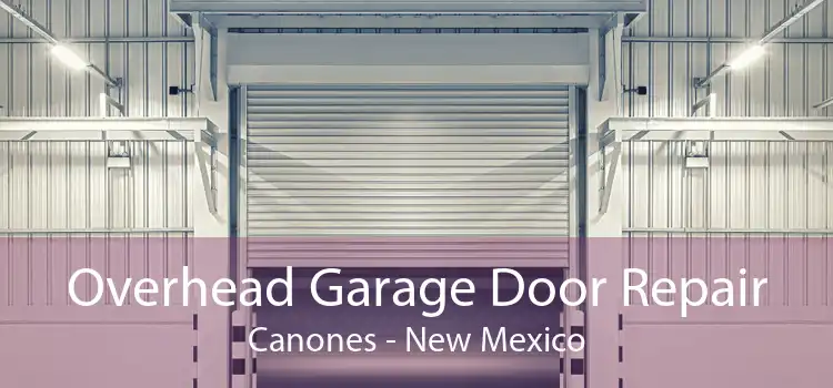 Overhead Garage Door Repair Canones - New Mexico