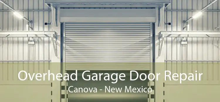 Overhead Garage Door Repair Canova - New Mexico