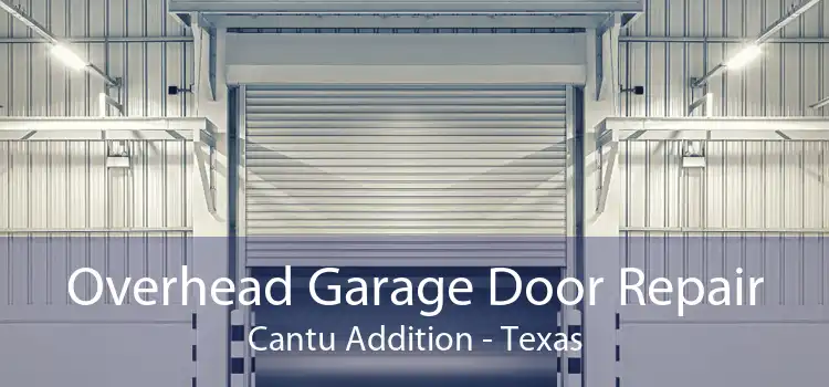 Overhead Garage Door Repair Cantu Addition - Texas