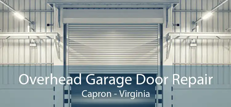 Overhead Garage Door Repair Capron - Virginia