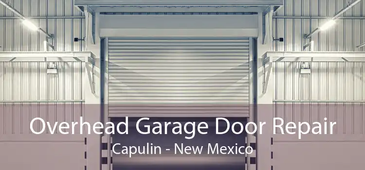 Overhead Garage Door Repair Capulin - New Mexico